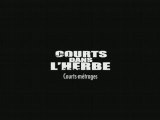COURTS-METRAGES 2007 - Festival Courts dans l'Herbe