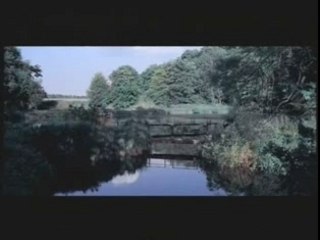 Die Ärzte - Deine Schuld