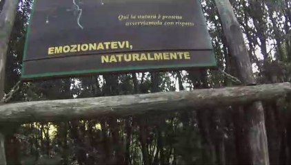 CASCATA DEL CAMPANARO - ESTATE 2014