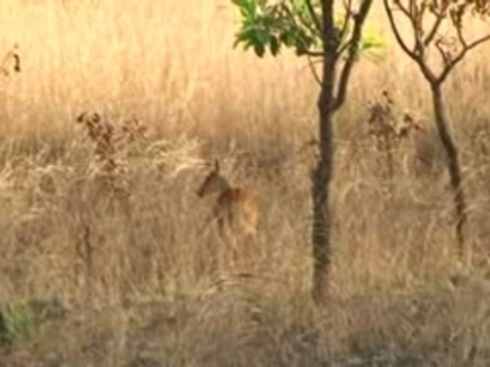 Bande Annonce Film Burkina