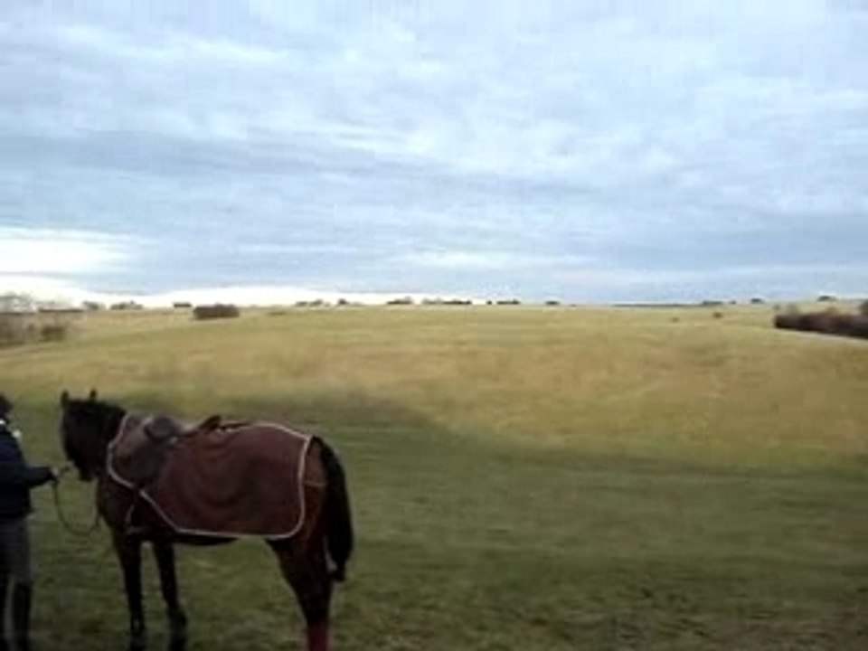 MOV09117