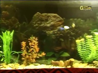 02. Изготовление джиг-приманок, часть 2.