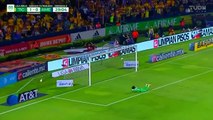 Tigres UANL vs Club América  1-1 All Goals & Highlights