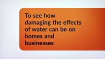 Why Specialist Water Removal and Repair Protects Properties and Reduces Health Risks - AdvantaClean of Fort Lauderdale