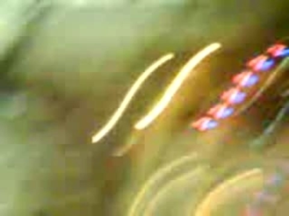 MOV00022
