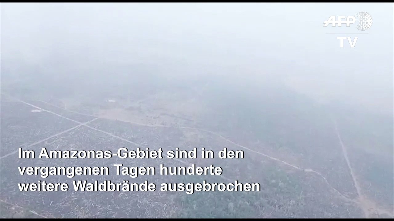 Hunderte neue Feuer im Amazonas ausgebrochen