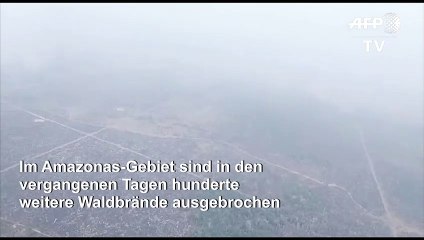 Hunderte neue Feuer im Amazonas ausgebrochen