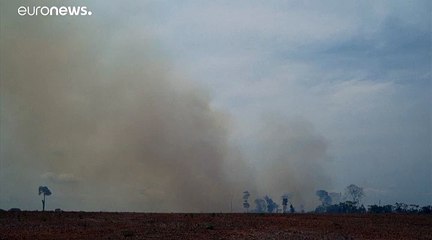 ست ولايات في البرازيل تطلب مساعدة الجيش لمكافحة حرائق الأمازون