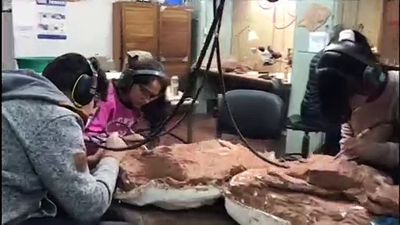 "ice age"-eichhörnchen "scrat" gab es wirklich