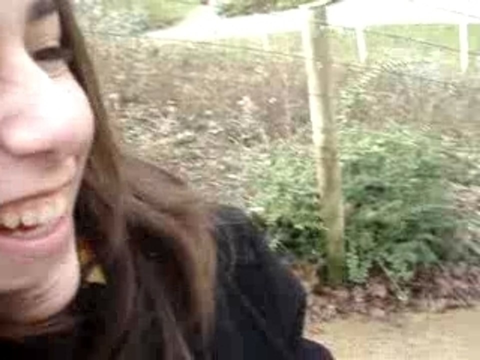 parc floral tobbogan "soudé"