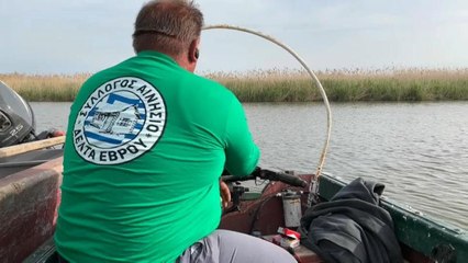 Migrants increasingly risk lives arriving in Greece by river or sea