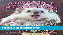 R.E.A.D Adorable Hedgehogs Mini 2019: 16-Month Calendar - September 2018 through December 2019