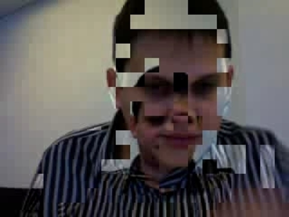 Webcam BEECHANNELS