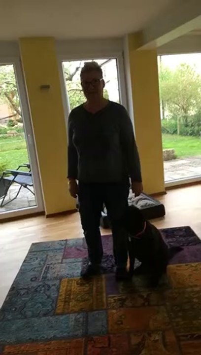 Abbeyfield Autumn Abbey - Heuschnupfenzeit