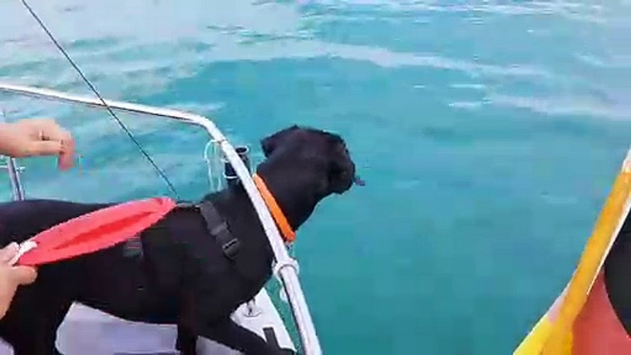 Abbeyfield Autumn Abbey - Wasserspaß