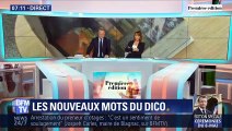 Les nouveaux mots du dico