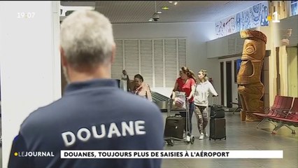 Trafic de drogue, comment procèdent les douaniers  ?