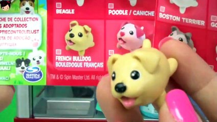 Maquina La Garra con Juguetes Sorpresa | Dory  Barbie Mascotas MLP Patrulla Canina