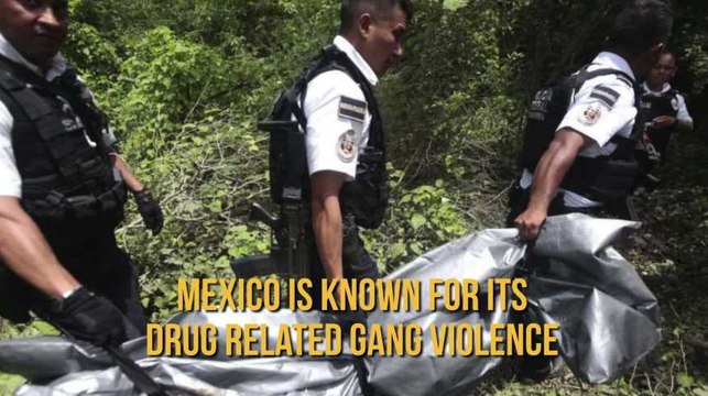 #BelgianArms - Des armes belges aux mains des cartels mexicains