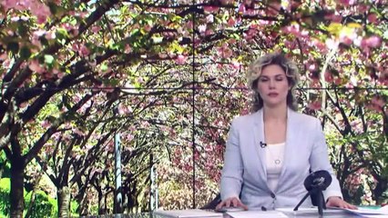 Akşam Bülteni - 7 Mayıs 2019 - İHA HABER SAAT