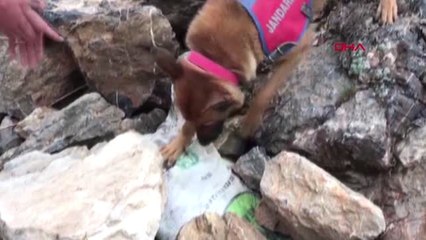 Van Başkale'de PKK'nın Tuzakladığı Eyp, Bulunarak İmha Edildi