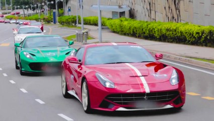 Ferrari GT-10 Anniversary Asia Distributors MC