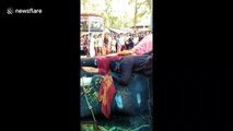 Heartbroken Indian man weeps after his elephant passes away