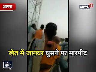 खेत में मवेशी घुसने पर हुआ विवाद, जमकर चले लात घूसे