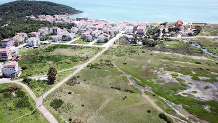 Badavut'un kesin korunacak hassas alan tescili Ayvalık'ta memnuniyetle karşılandı