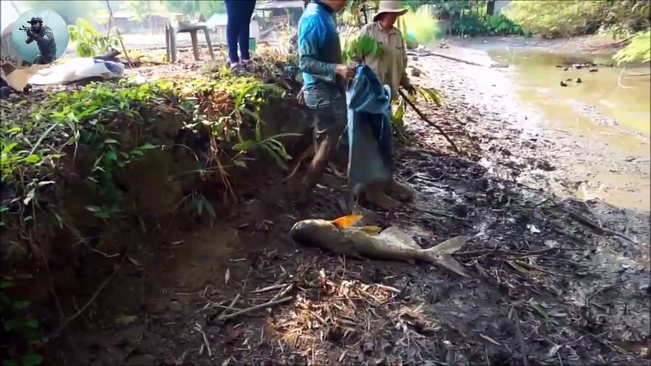 Unique Dry Fishing _ Amazing Man Catching Catfish