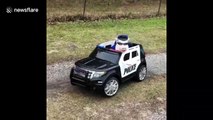 This little piggy went for a ride in a US police car