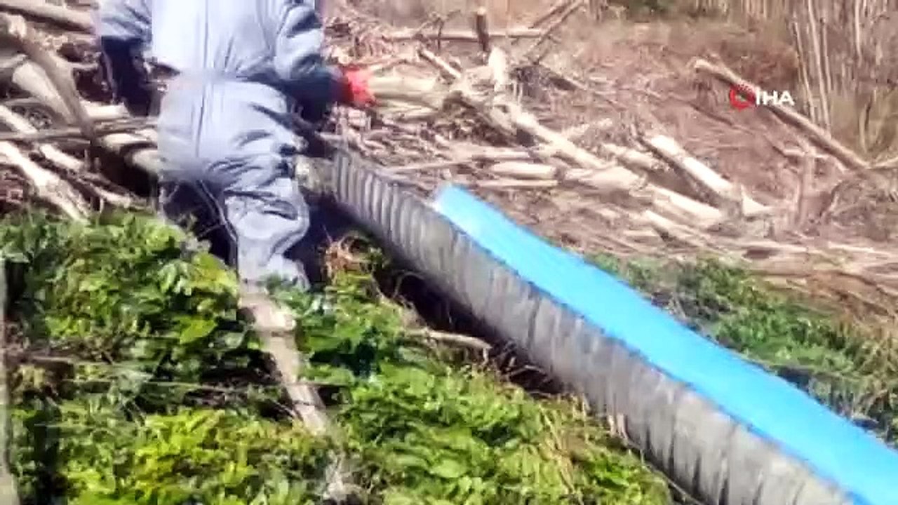 Rizeli'nin odun kaydırağı