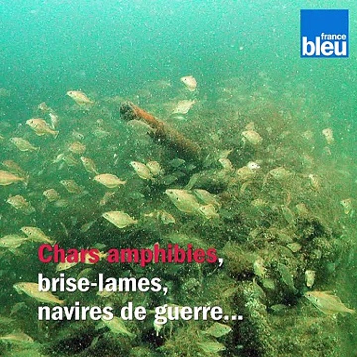 Abécédaire du Jour J : E comme "Épaves"