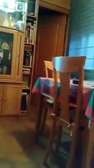 Meme en vídeo del batacazo del Barça en la Champions League: Camiseta
