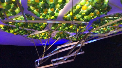 Le stand impulsion imaginé par la ville d’Angers pour les Floralies