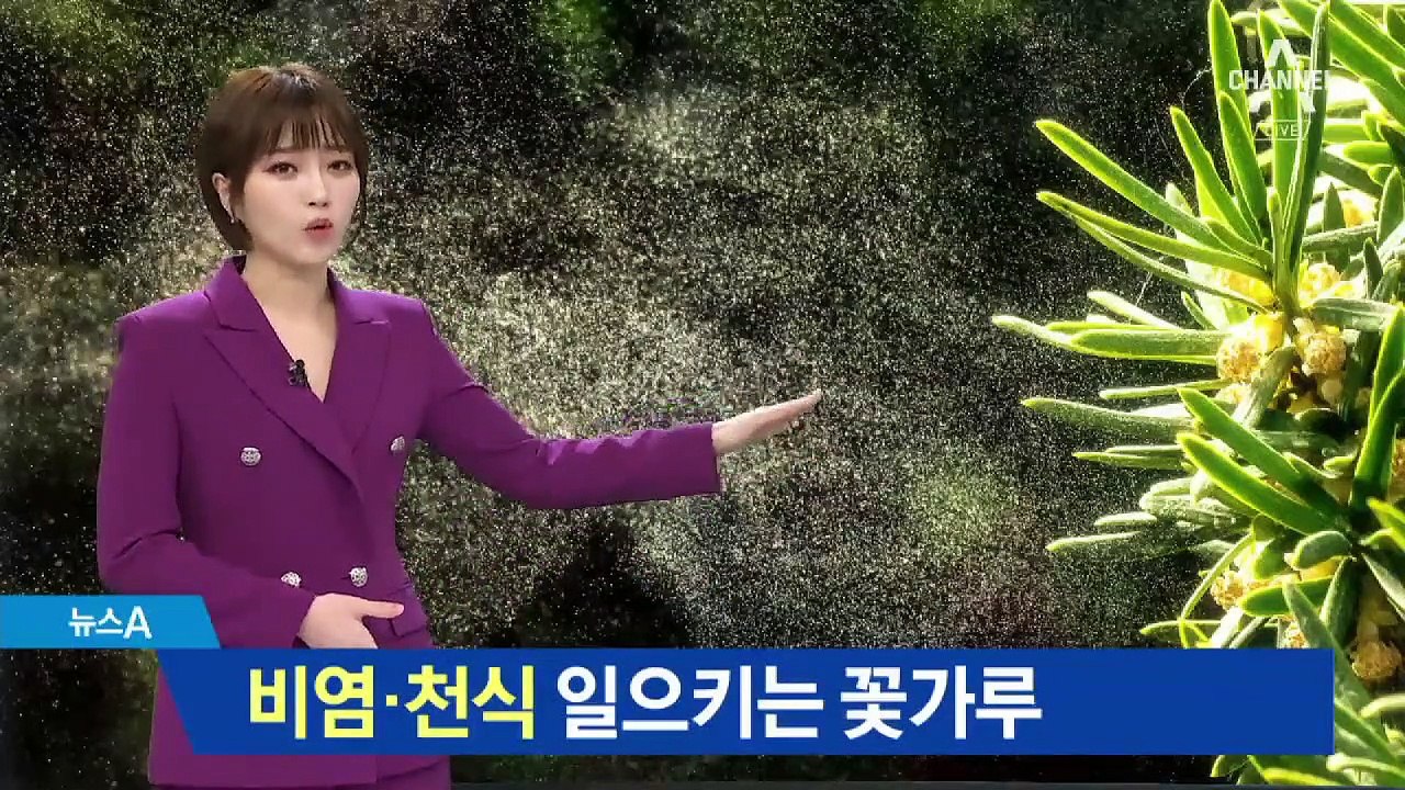 미세먼지 주춤하니 꽃가루 말썽…비염·천식 환자 급증