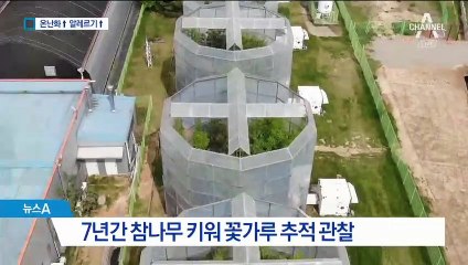 꽃가루 알레르기 주범은 이산화탄소…기후 온난화와 연관