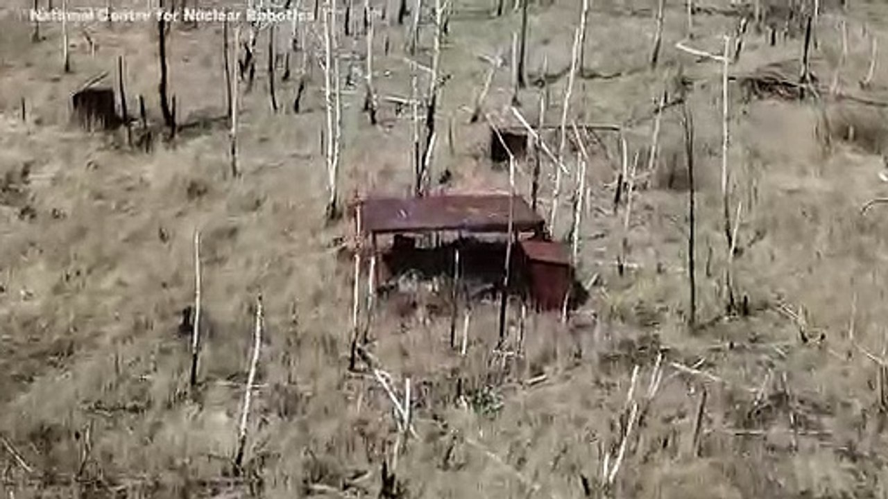 New Radiation Spots Found In Chernobyl's Red Forest