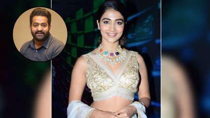 Pooja Hedge Interesting Comments On Tollywood Offers || Filmibeat Telugu