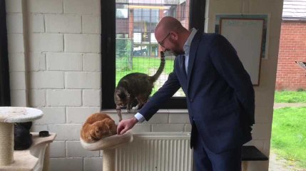 Anderlecht - Charles Michel visite la Société Royale Protectrice des Animaux Veeweyde (vidéo Germani)