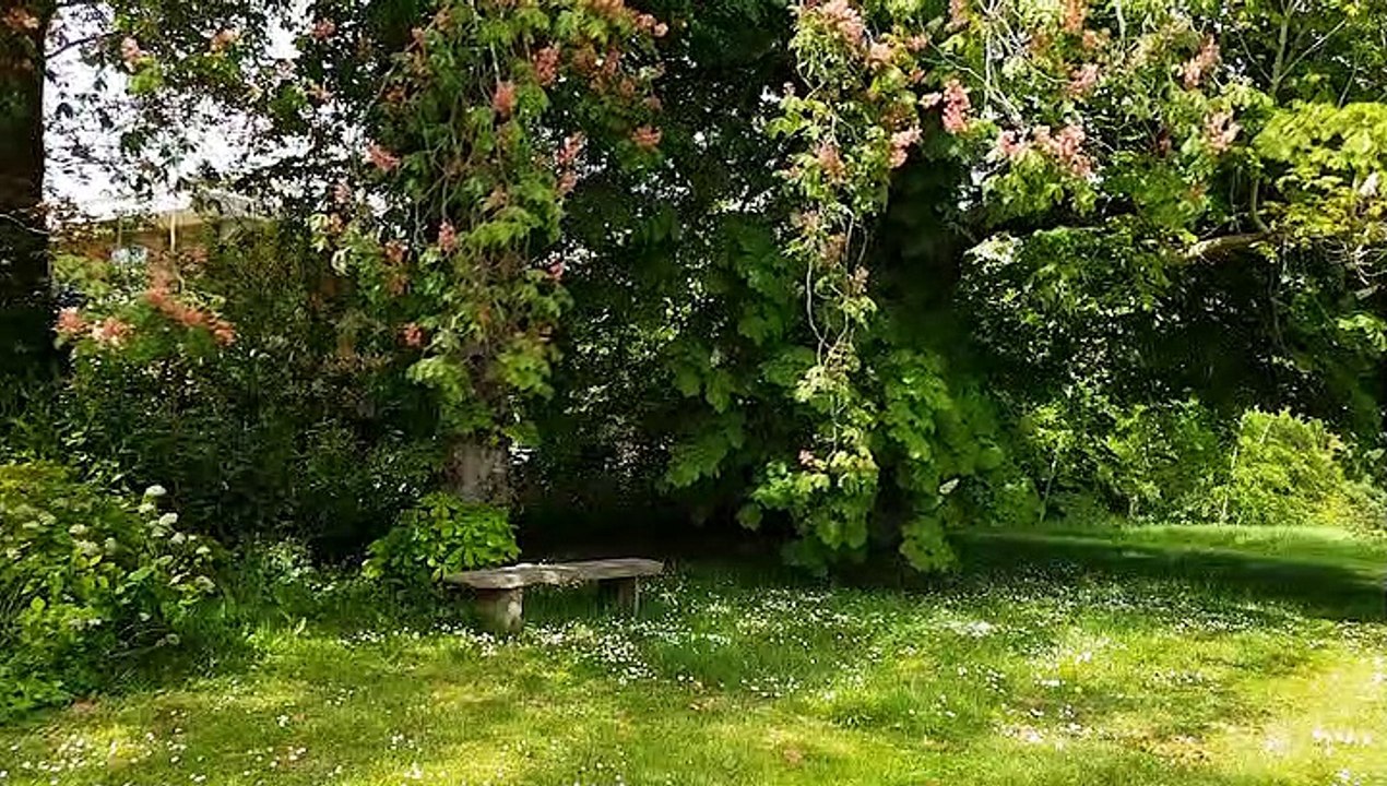 NEWS: 9th May 2019
