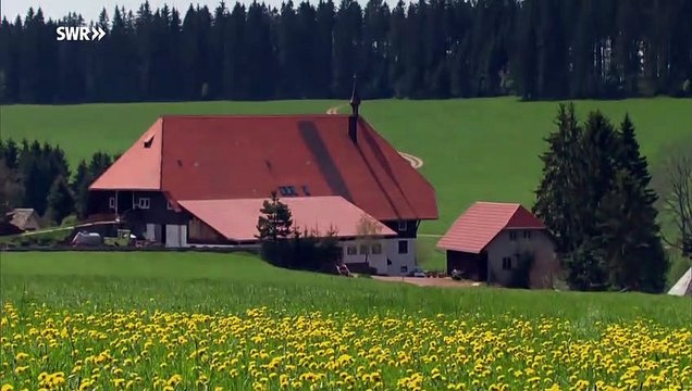 Die Fallers - Folge 978 - Klingende Münzen (10.06.2018)