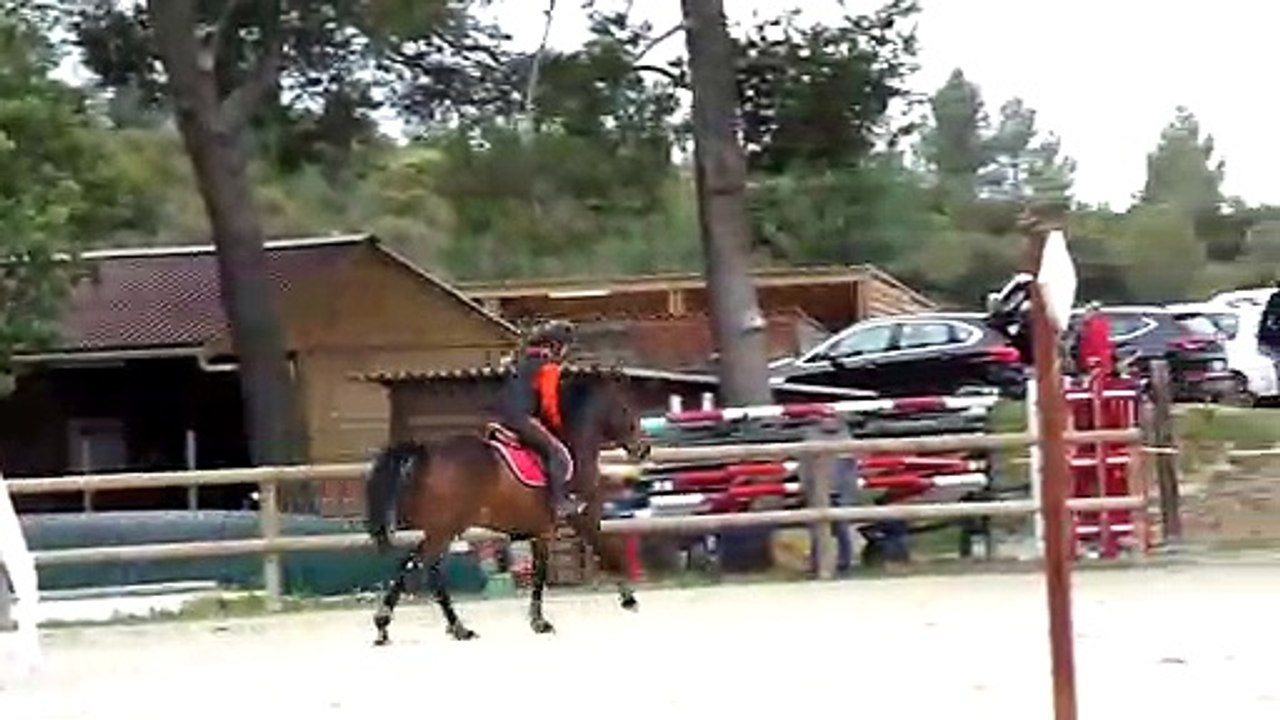 Flora, premier concours d'entrainement