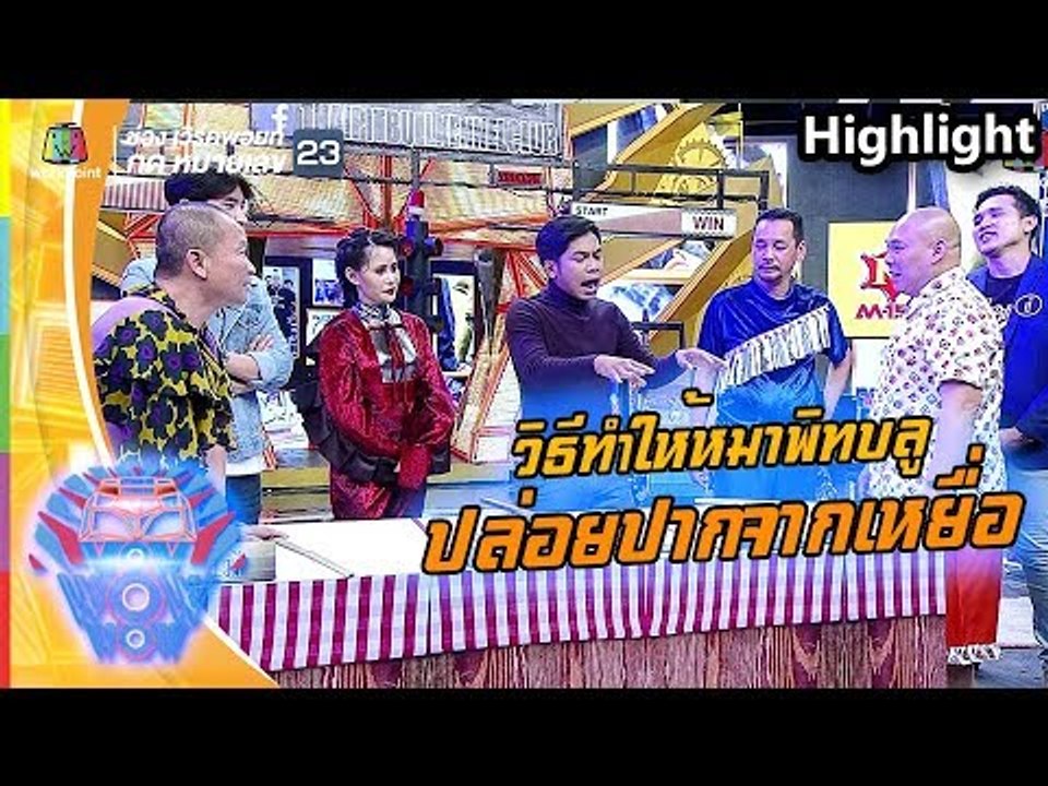 วิธีที่ทำให้หมาพิทบูลปล่อยปากออกจากเหยื่อย | ชิงร้อยชิงล้าน ว้าว ว้าว ว้าว