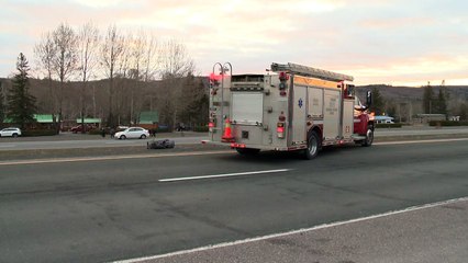 Un homme et ses trois chiens impliqués dans une sortie de route à Edmundston