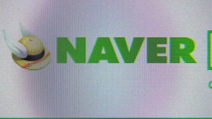 네이버 메일 오발송...개인정보 대량 유출 / YTN