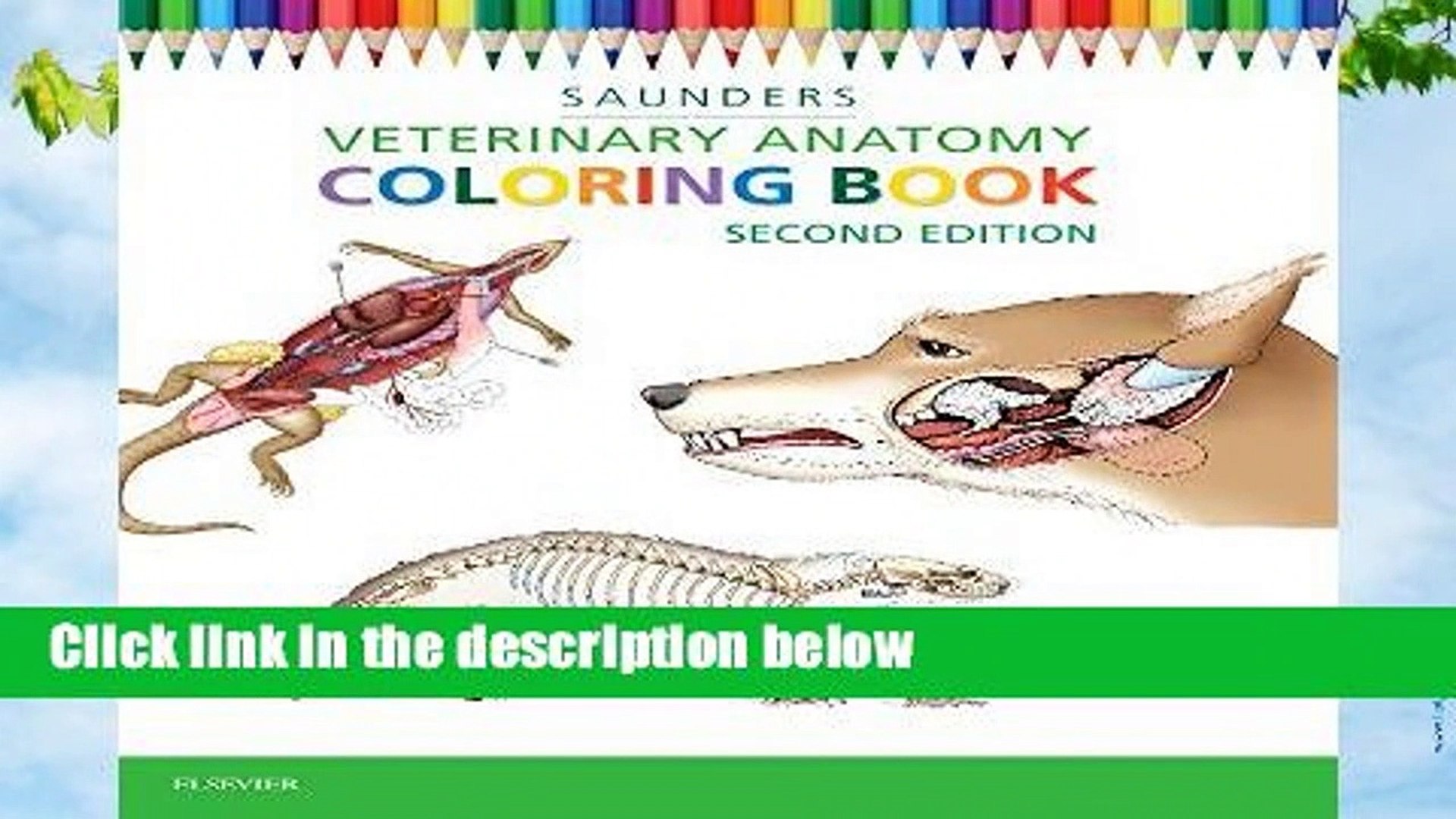 ⁣Veterinary Anatomy Coloring Book  For Kindle