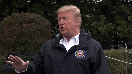 Trump perdeu mais de US$ 1 bi em uma década