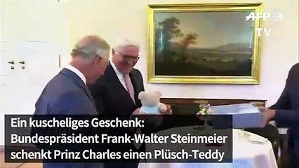Steinmeier, Prinz Charles und der Teddybär