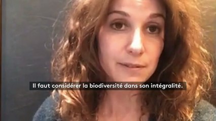 "Tout n'est que complémentarité dans l'édifice du vivant" : Fanny Agostini alerte sur les risques de la dégradation de la biodiversité